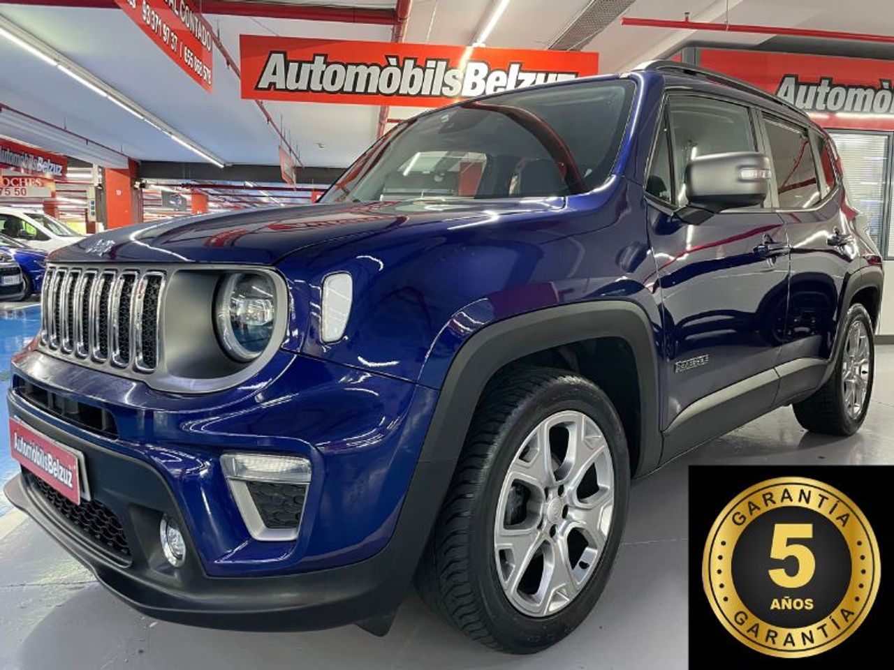 jeep renegade 2019 /