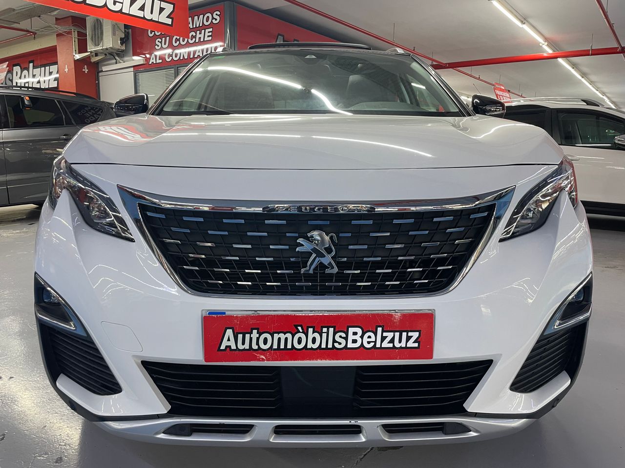 peugeot 3008 2019 / foto grande (3)
