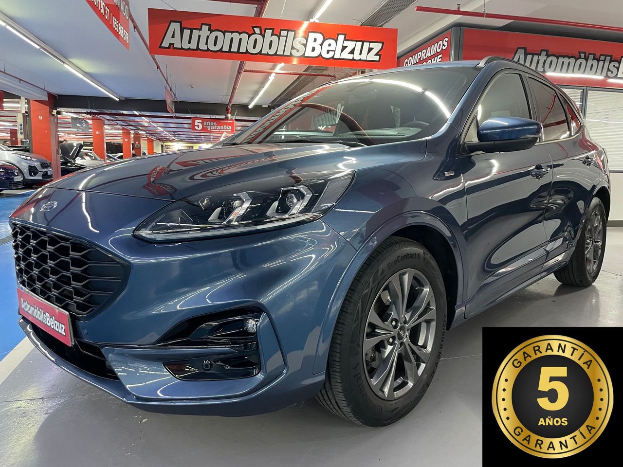 ford kuga 2022 /