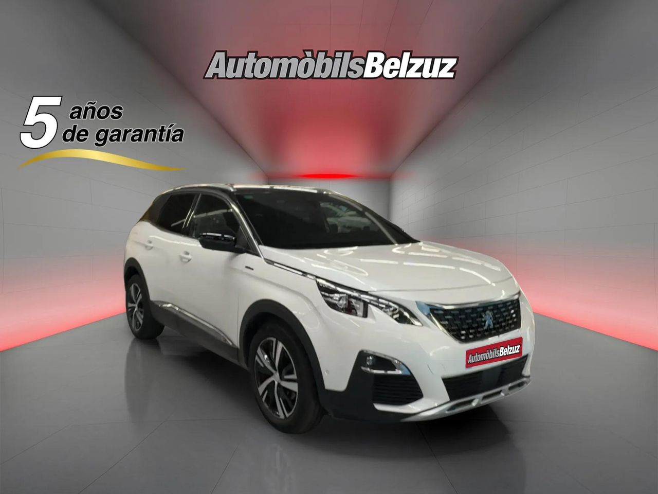 peugeot 3008 2018 / foto grande (3)