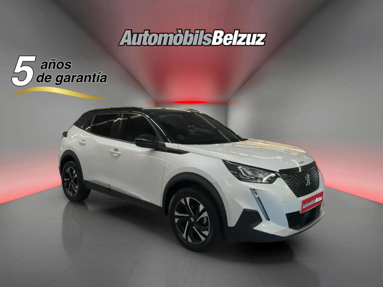 peugeot 2008 2020 / foto grande (3)