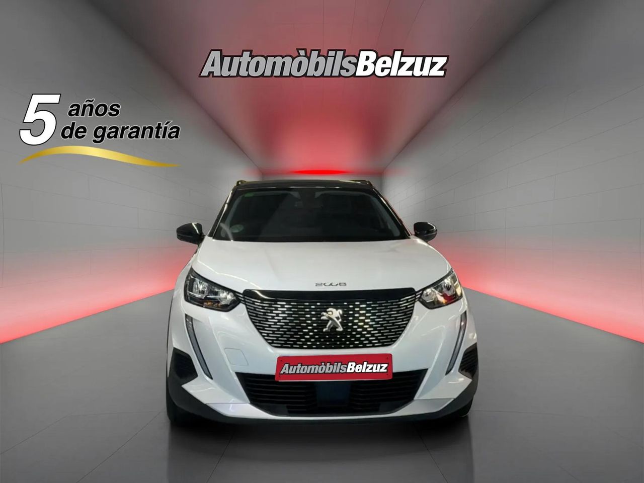 peugeot 2008 2020 / foto grande (2)