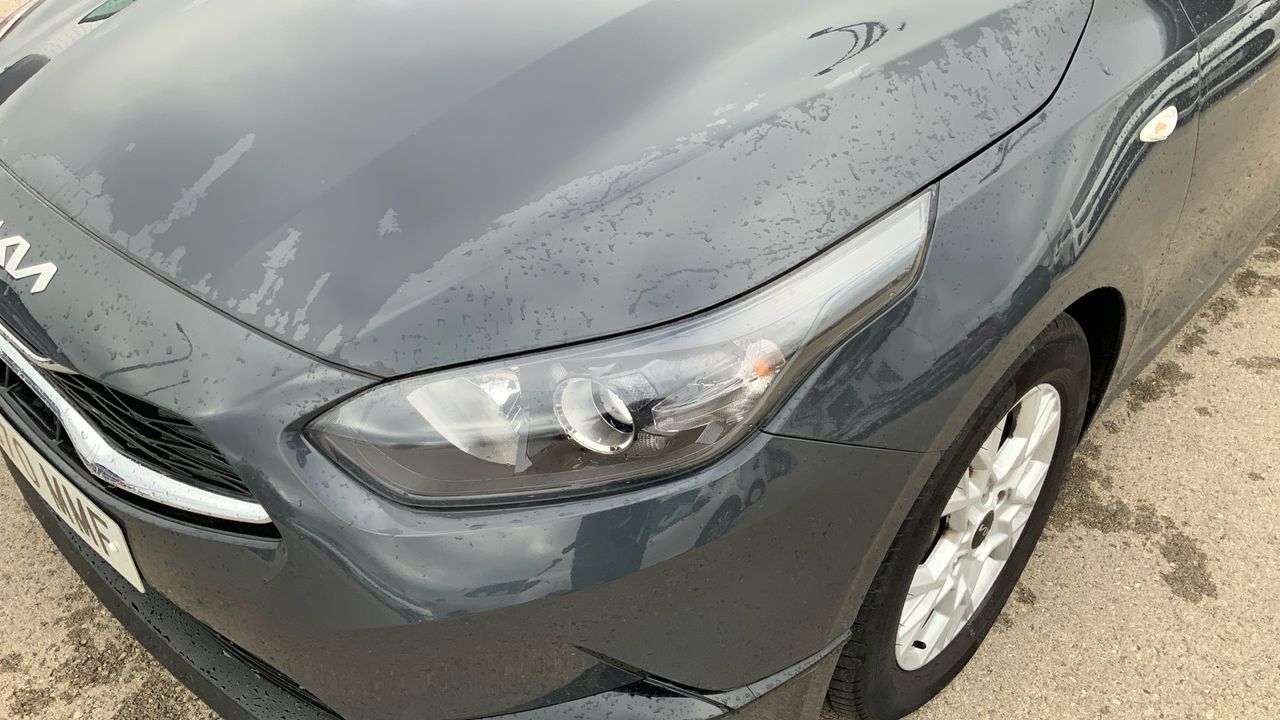 Kia Ceed 1.6 MHEV 100KW CONCEPT 136 5P