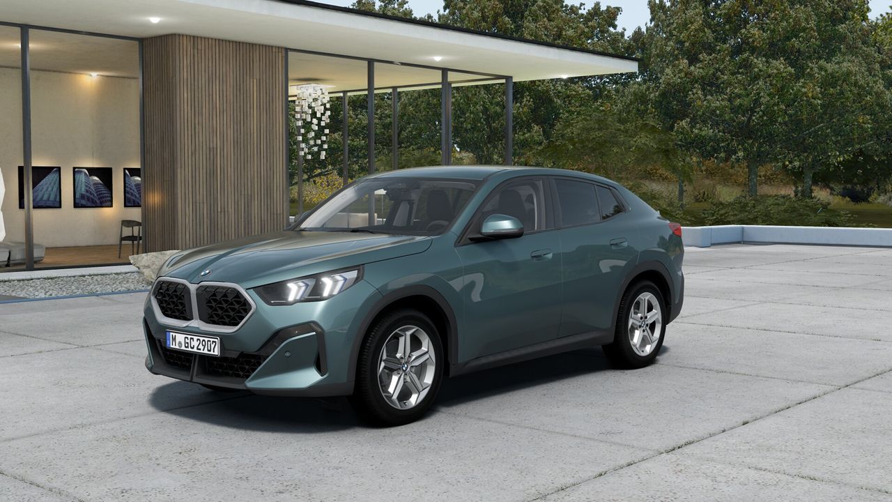 bmw x2 2024 /