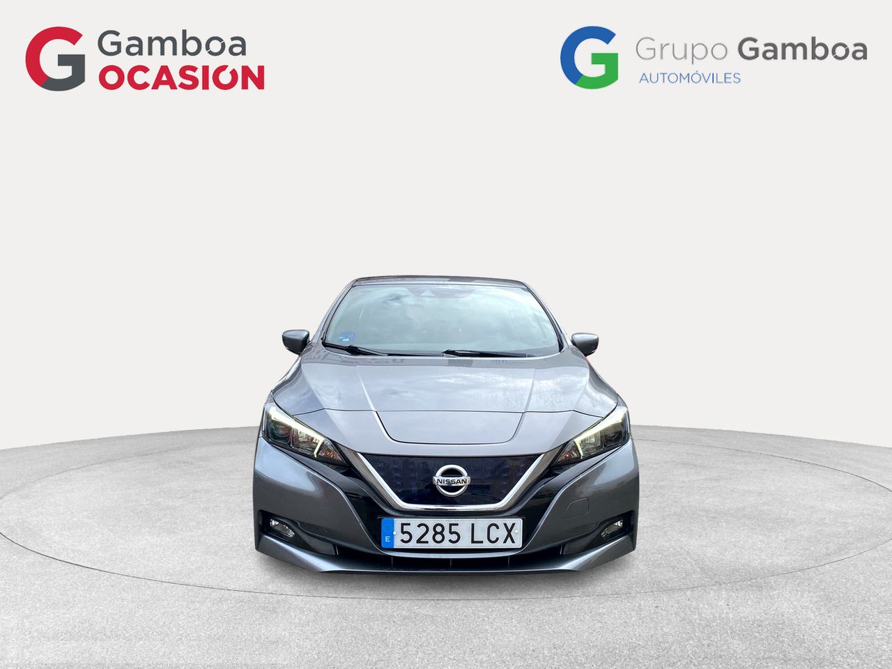nissan leaf 2019 / foto grande (2)