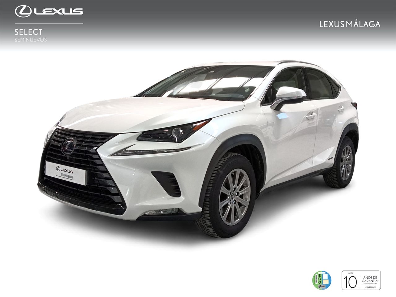 Foto lexus nx 2020 /