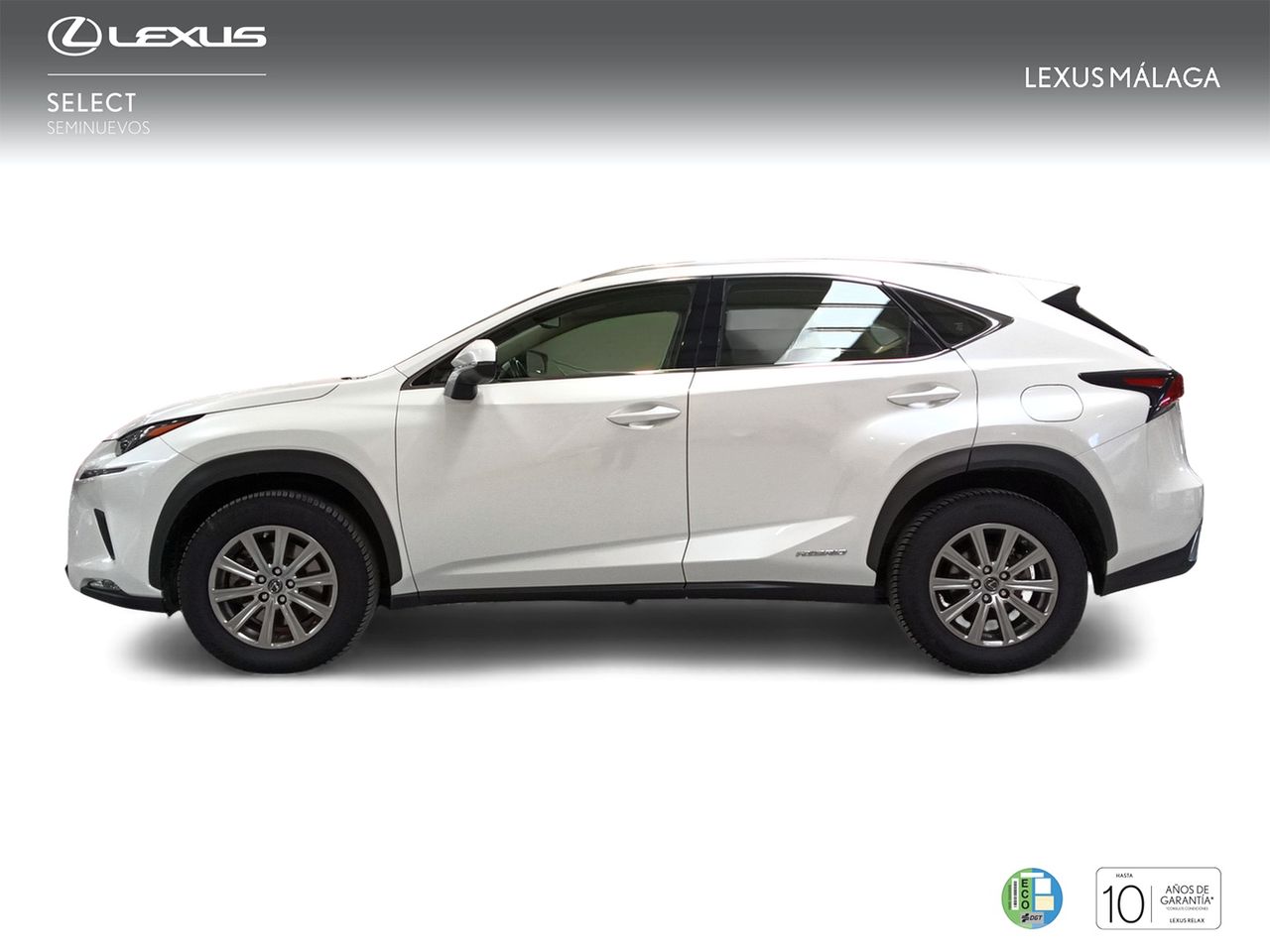 lexus nx 2020 / foto grande (3)