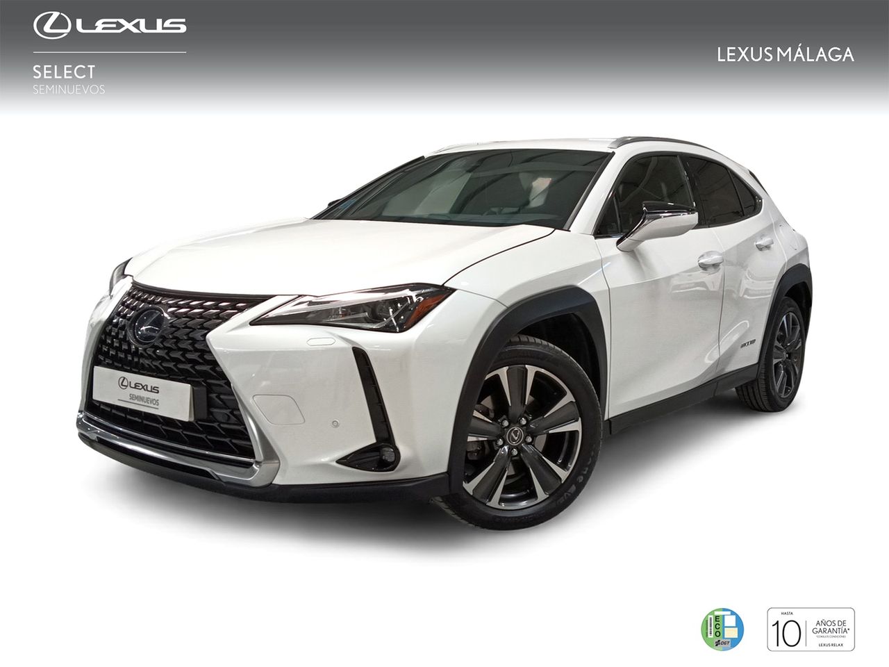 Exclusivo tarot  - lexus ux 2020 /