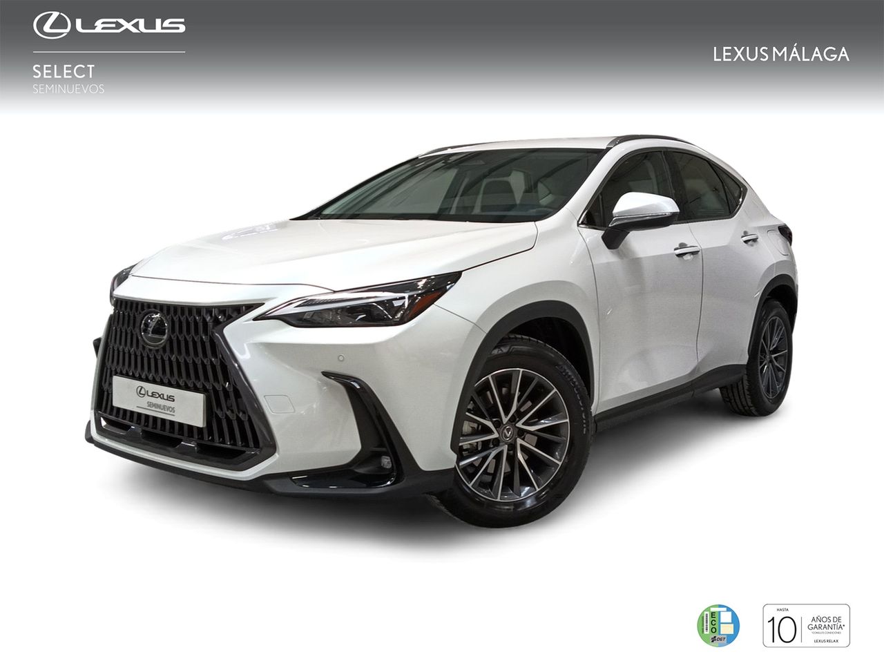Foto lexus nx 2024 /