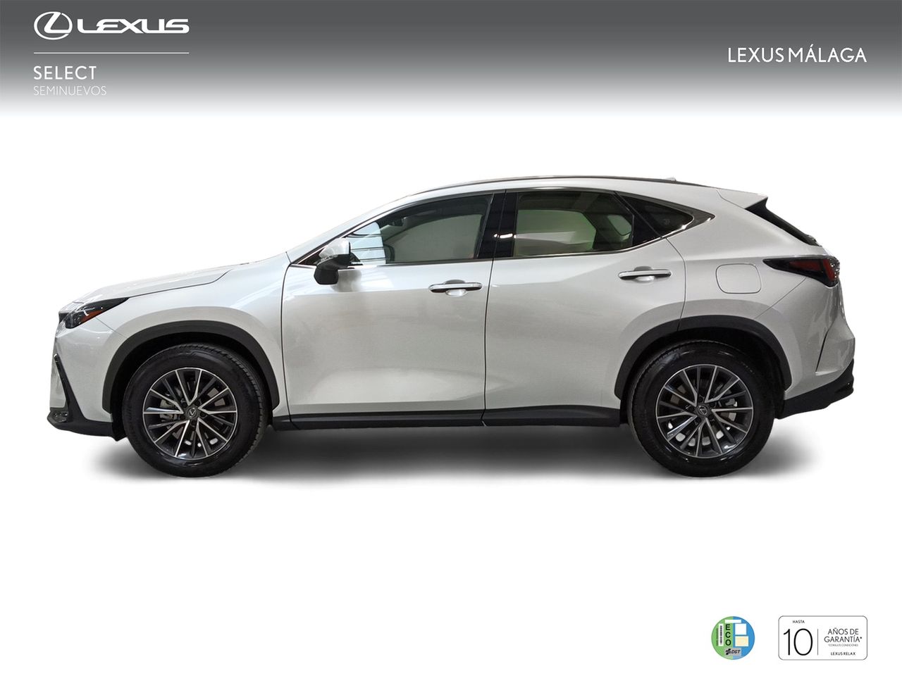 lexus nx 2024 / foto grande (3)