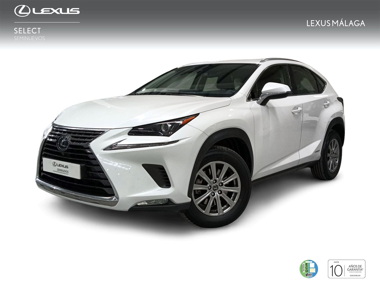 Aqui mejor vidente amor  - lexus nx 2020 /