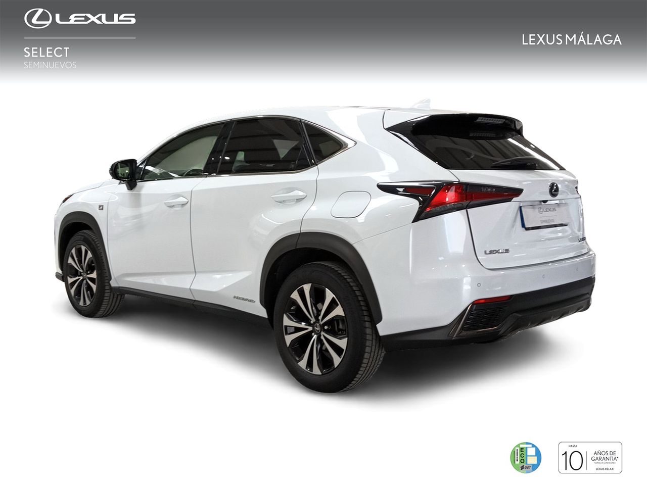 lexus nx 2019 / foto grande (2)