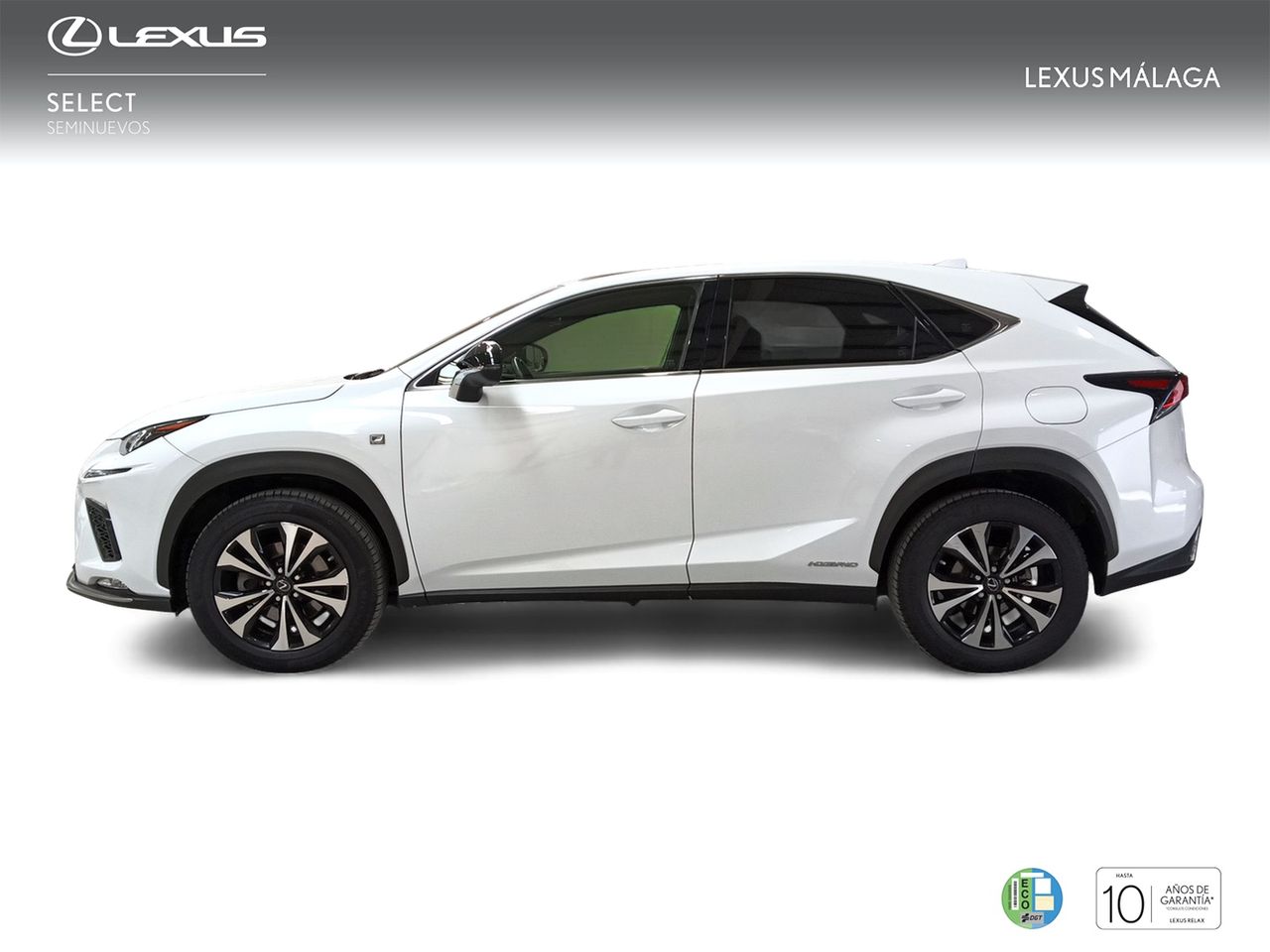 lexus nx 2019 / foto grande (3)