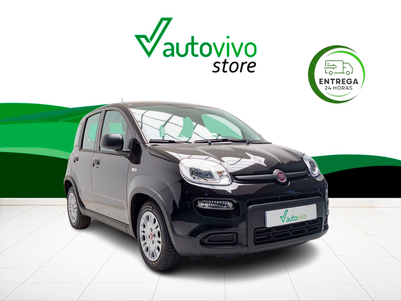 fiat panda 2024 /
