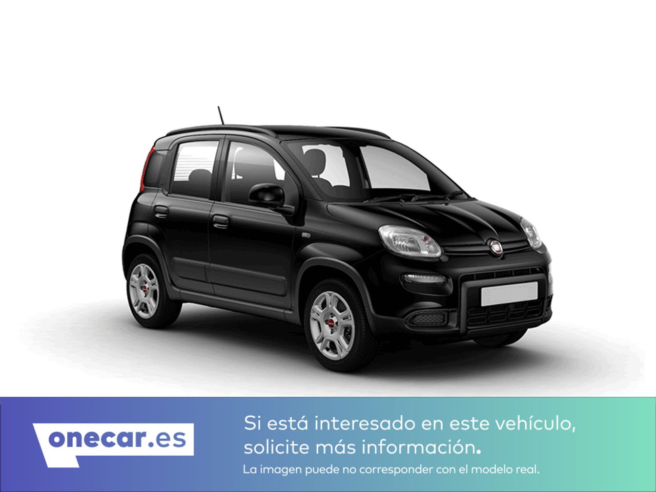 fiat panda 2024 /