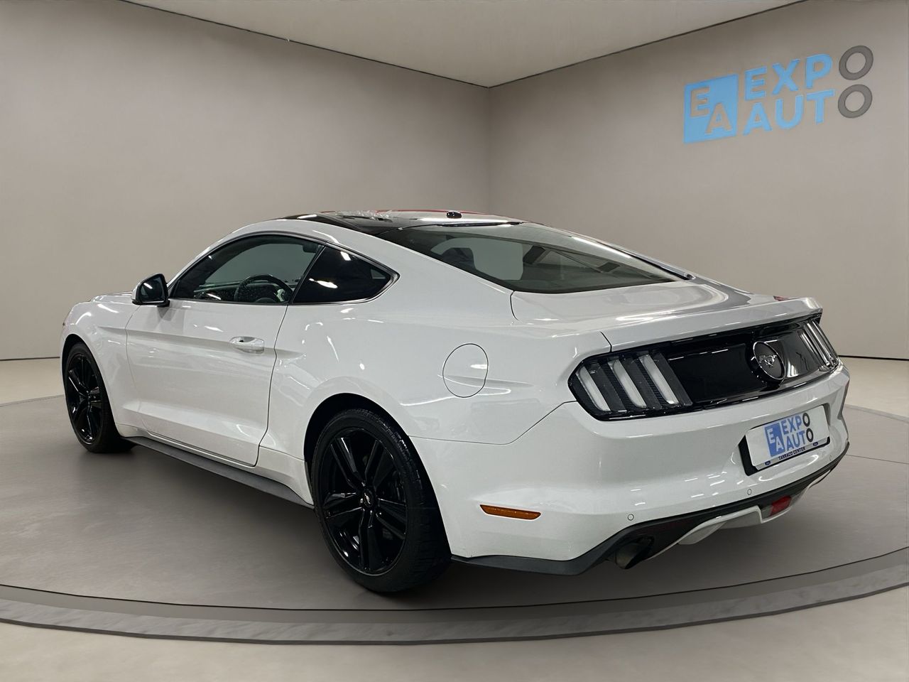 ford mustang 2016 / foto grande (3)