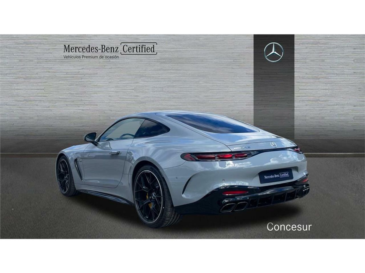 mercedes amg-gt  mercedes-amg gt 63 4matic+ foto grande (2)