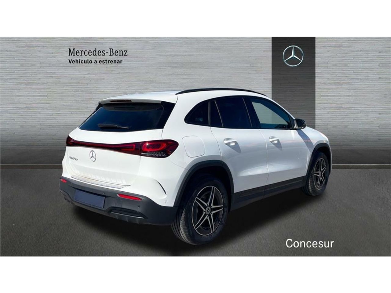 mercedes eqa eqa 250+ foto grande (2)