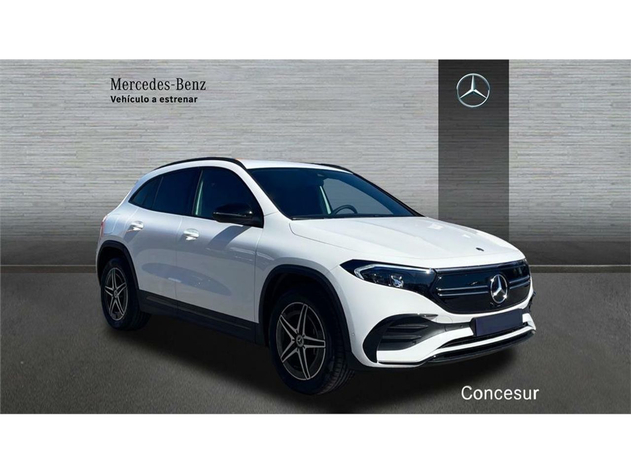 mercedes eqa eqa 250+ foto grande (3)