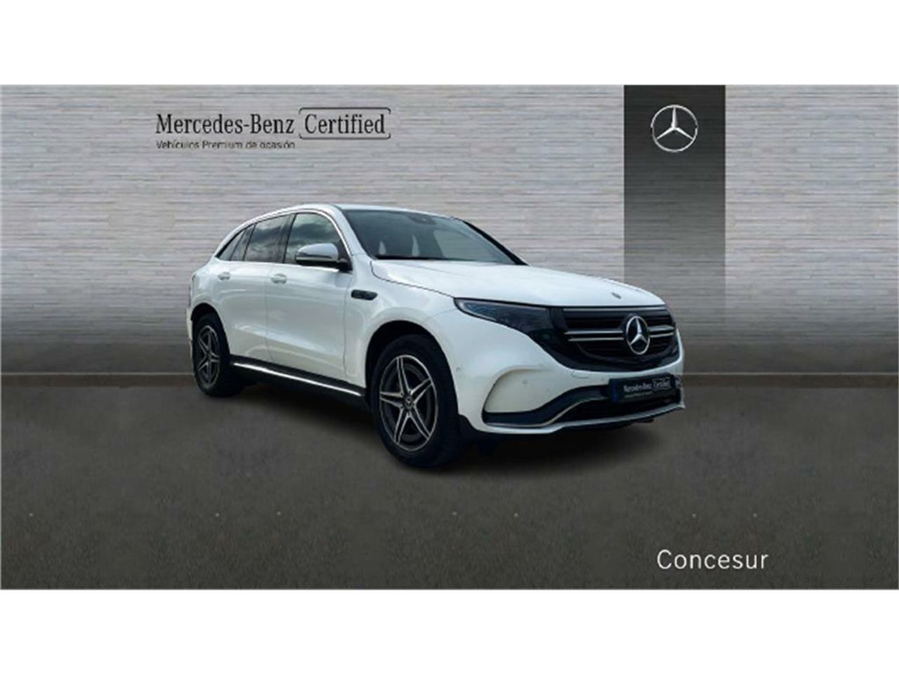mercedes eqc 2020 / foto grande (3)