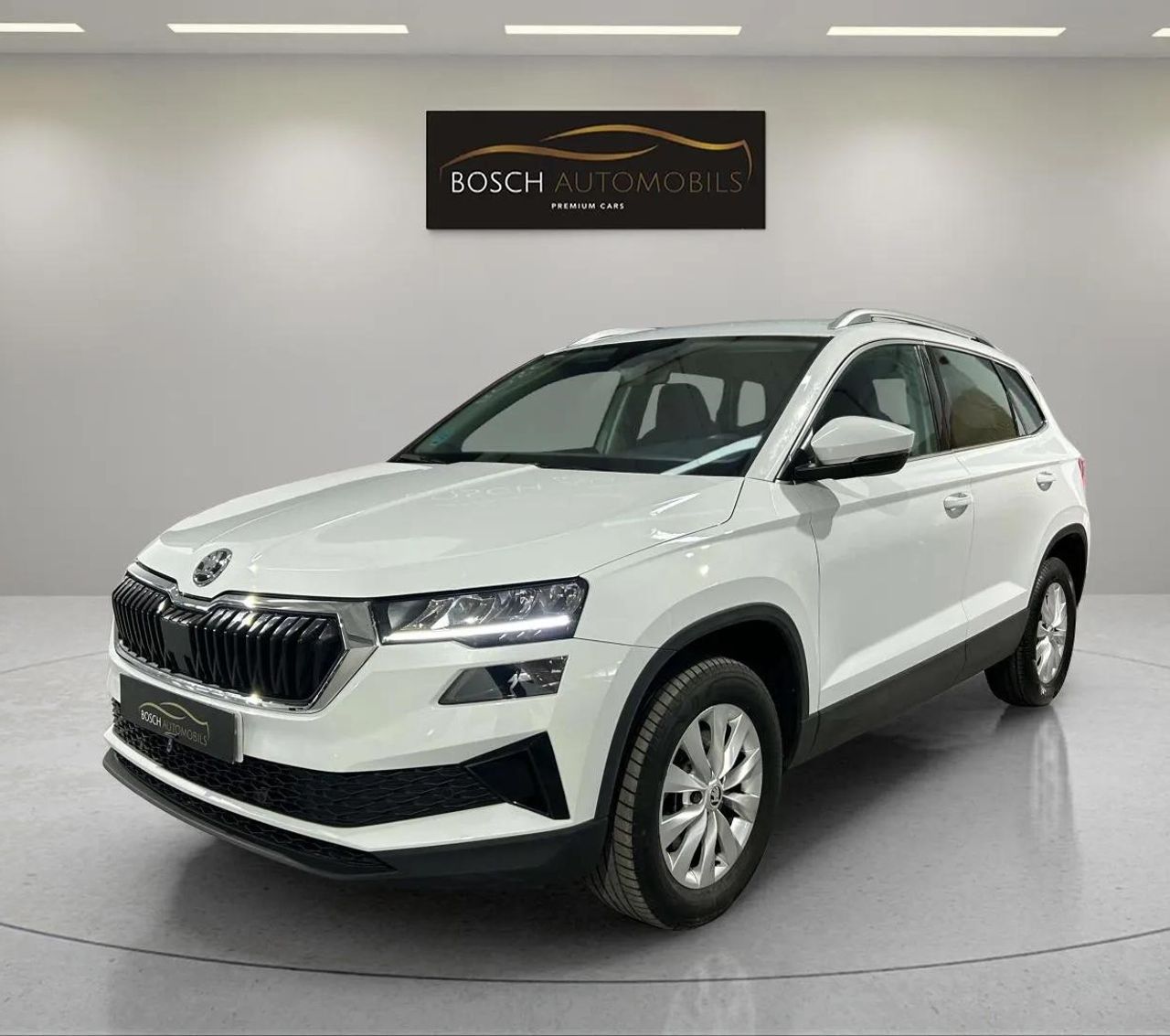 Foto skoda karoq 2022 /