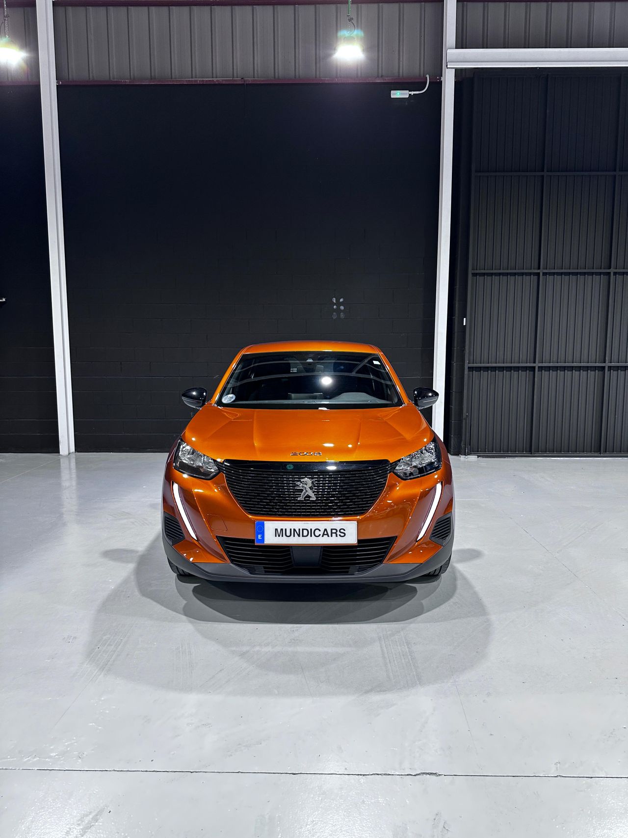 peugeot 2008 2022 / foto grande (3)
