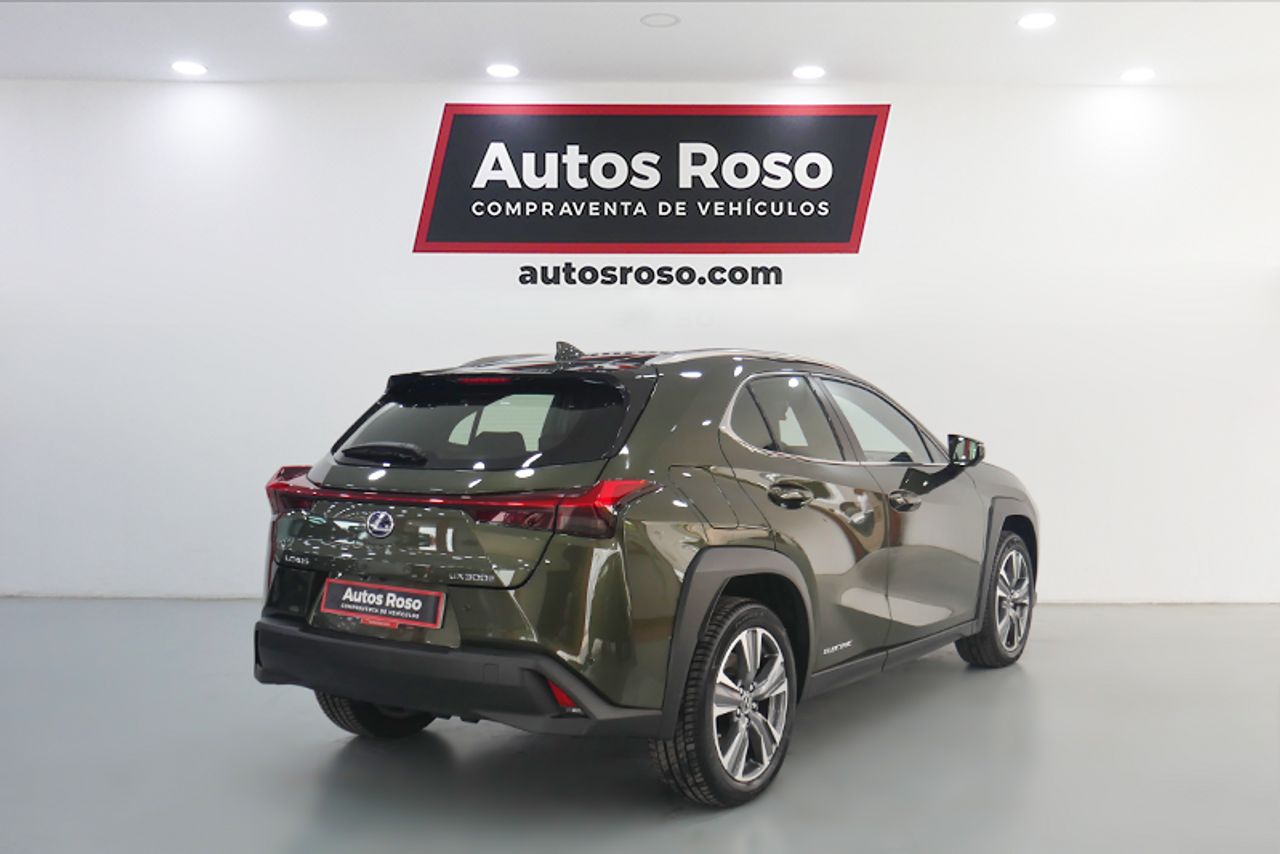 lexus ux 2023 / foto grande (3)