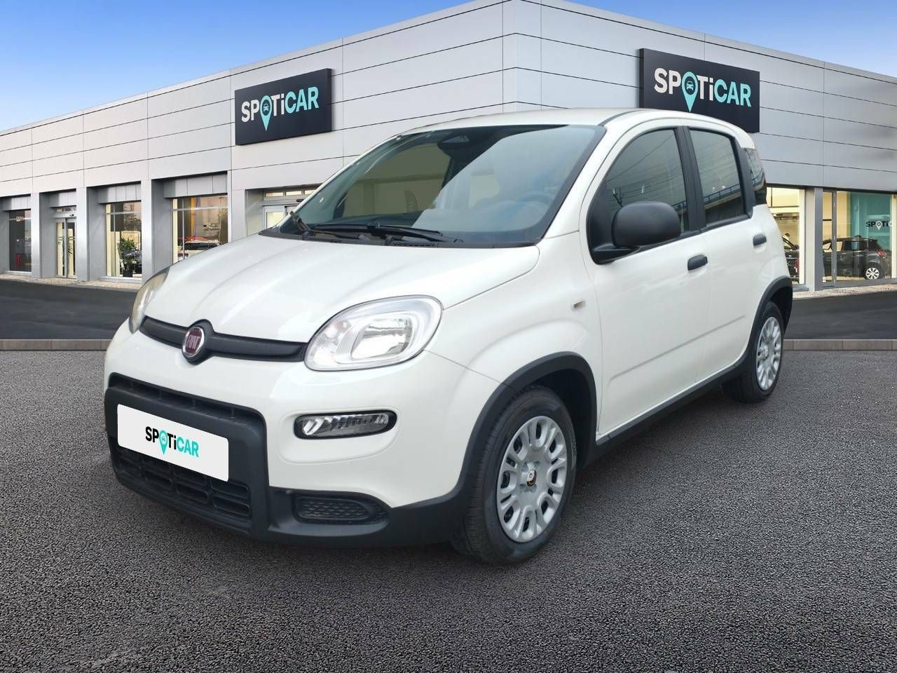 fiat panda 2024 /