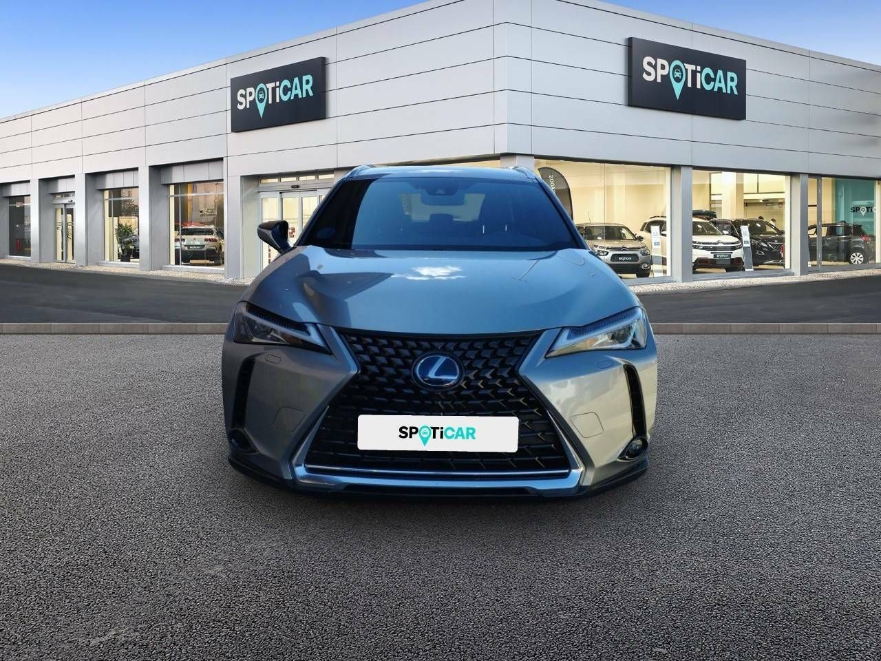 lexus ux 2020 / foto grande (2)