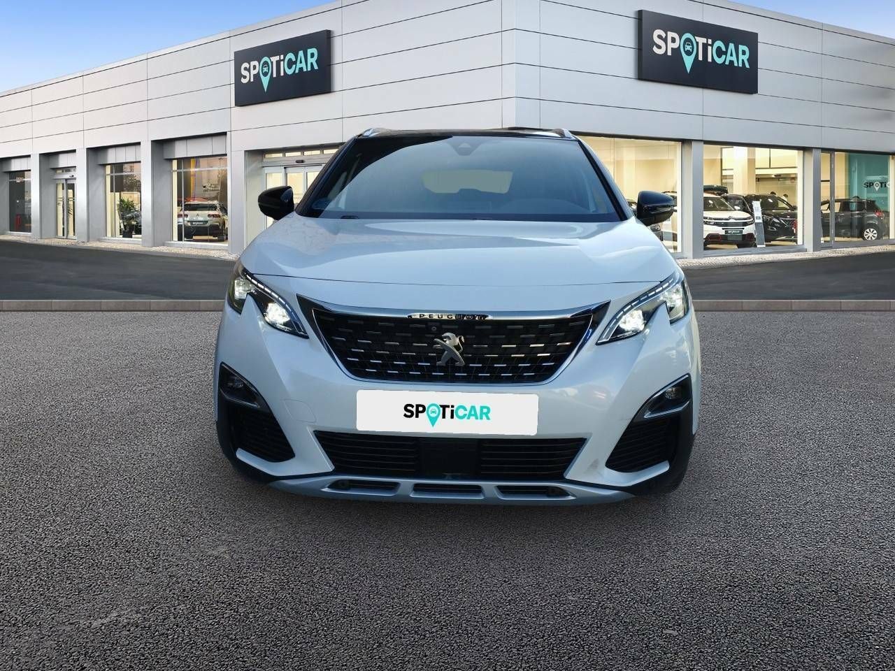 peugeot 3008 2019 / foto grande (2)