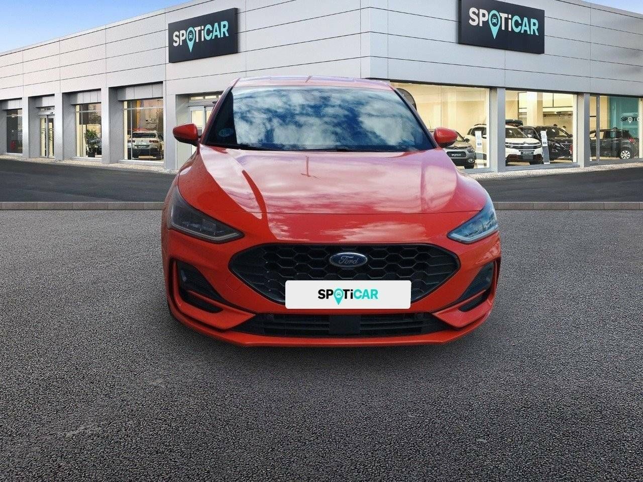 ford focus 2022 / foto grande (2)