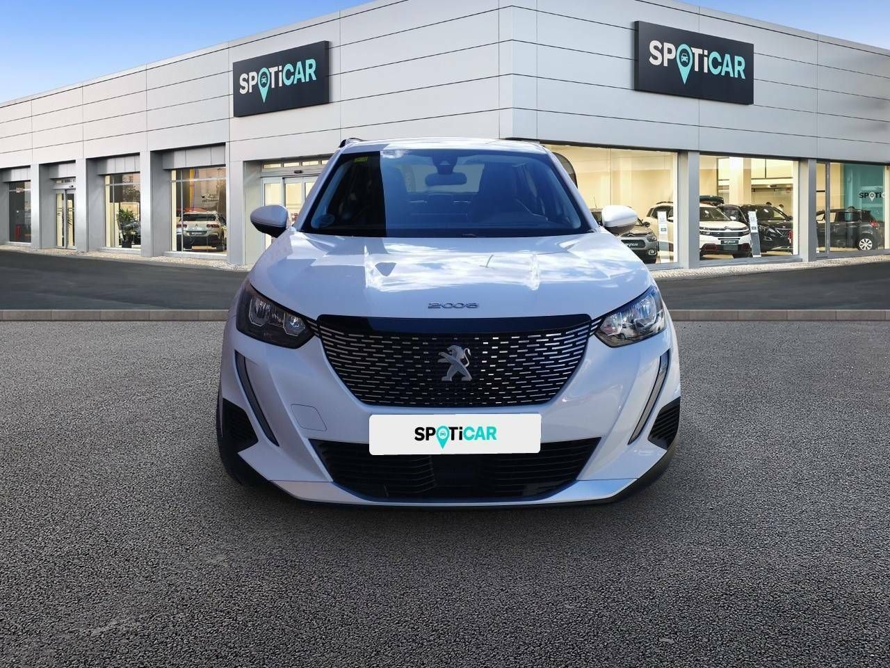 peugeot 2008 2020 / foto grande (2)