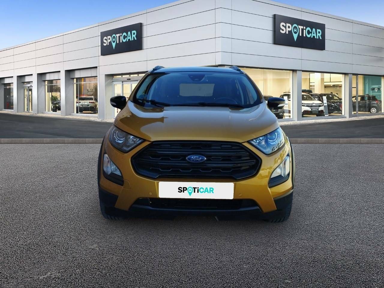 ford ecosport 2022 / foto grande (2)