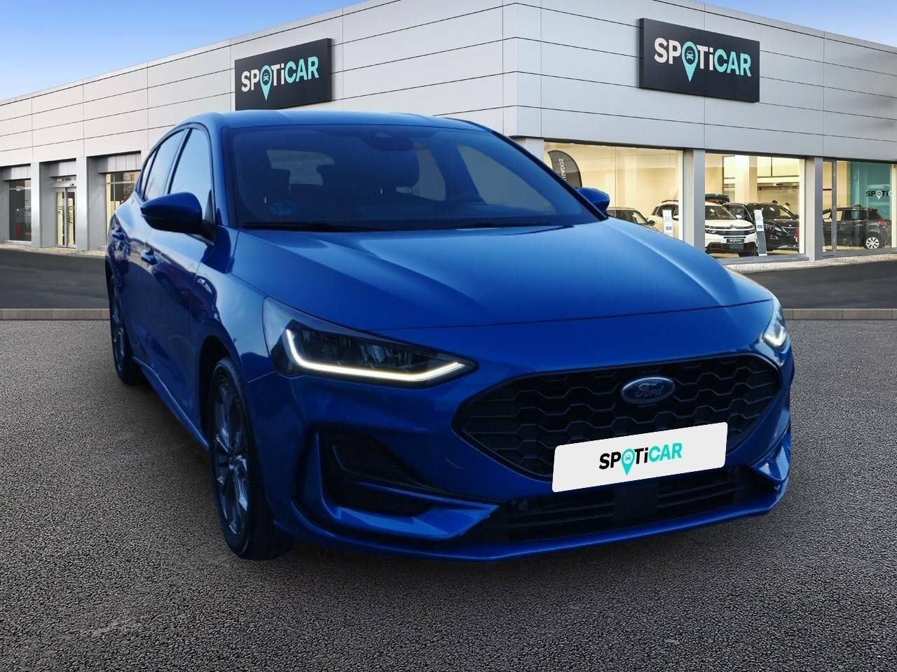 ford focus 2023 / foto grande (3)