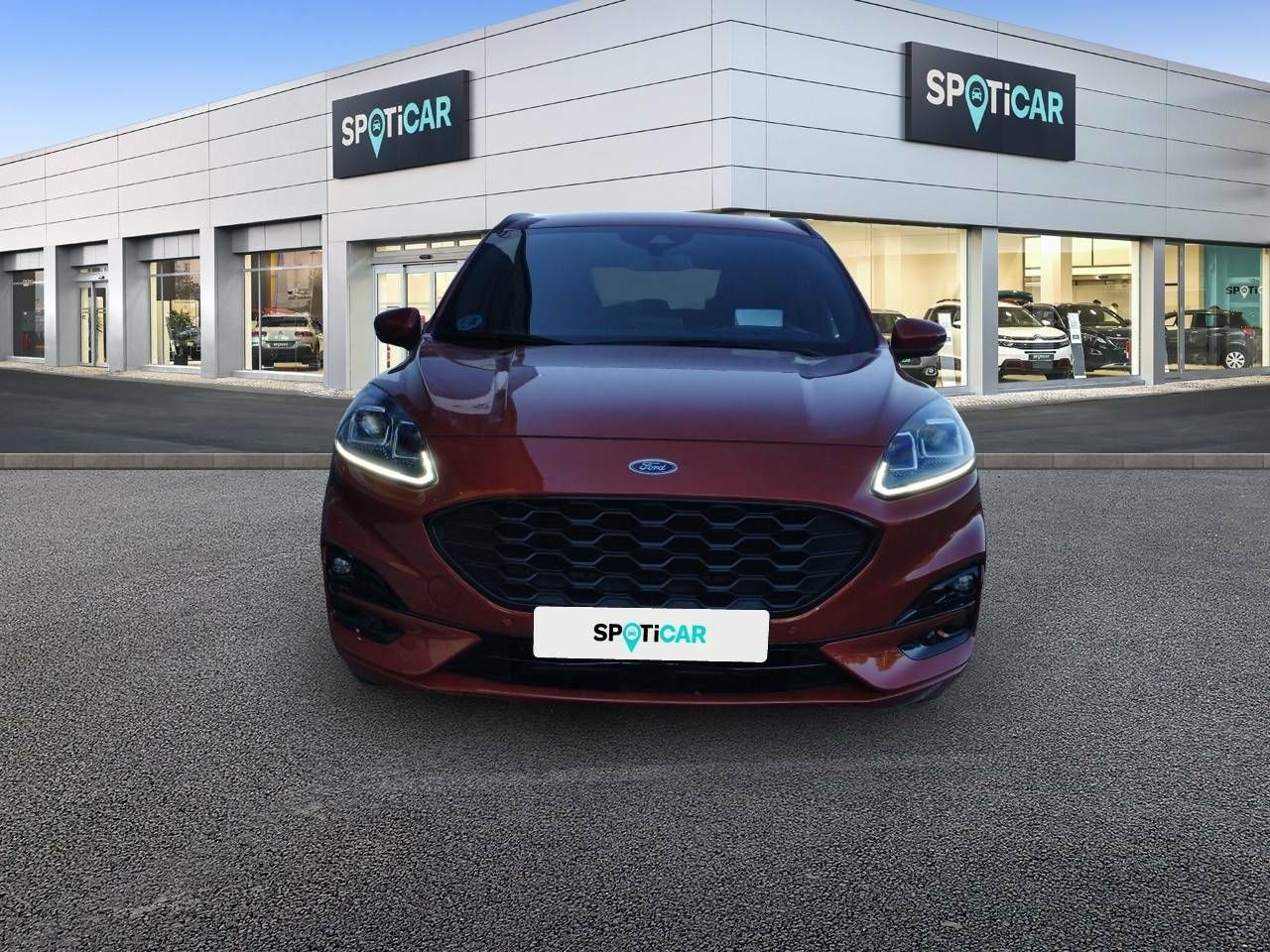 ford kuga 2022 / foto grande (2)