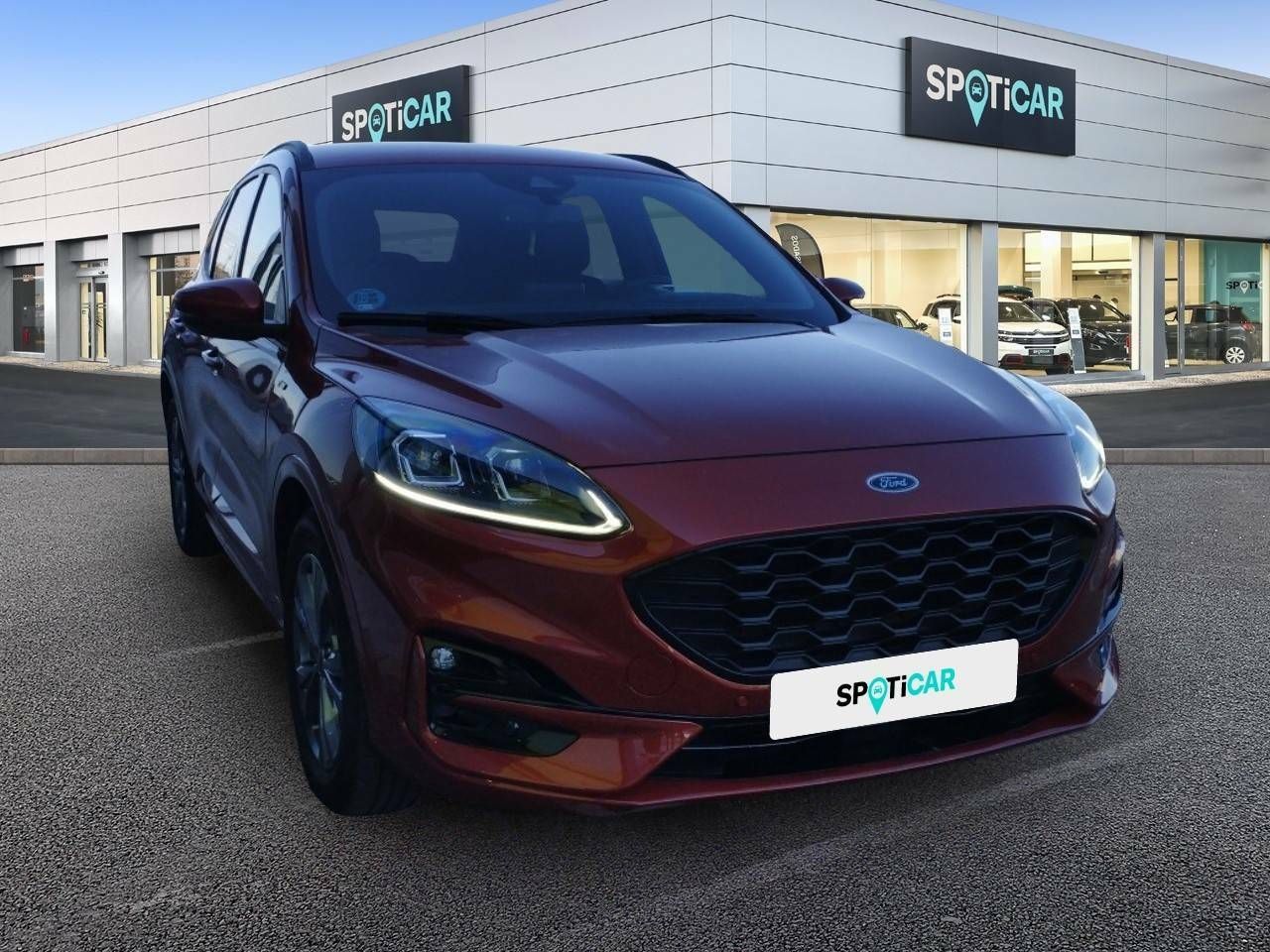 ford kuga 2022 / foto grande (3)