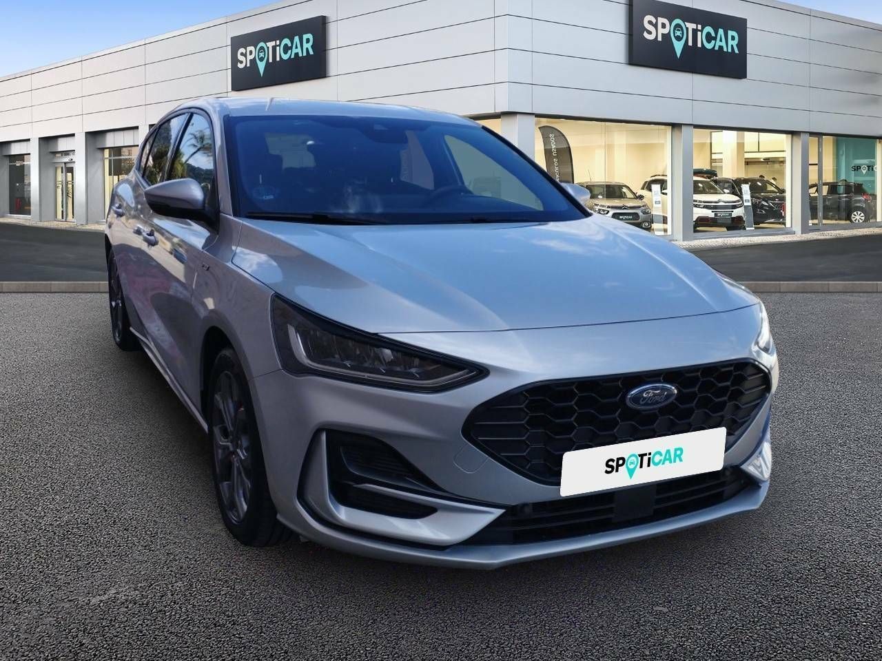 ford focus 2022 / foto grande (3)
