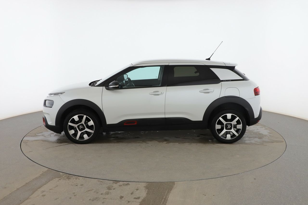 citroën c4 cactus 2019 / foto grande (3)