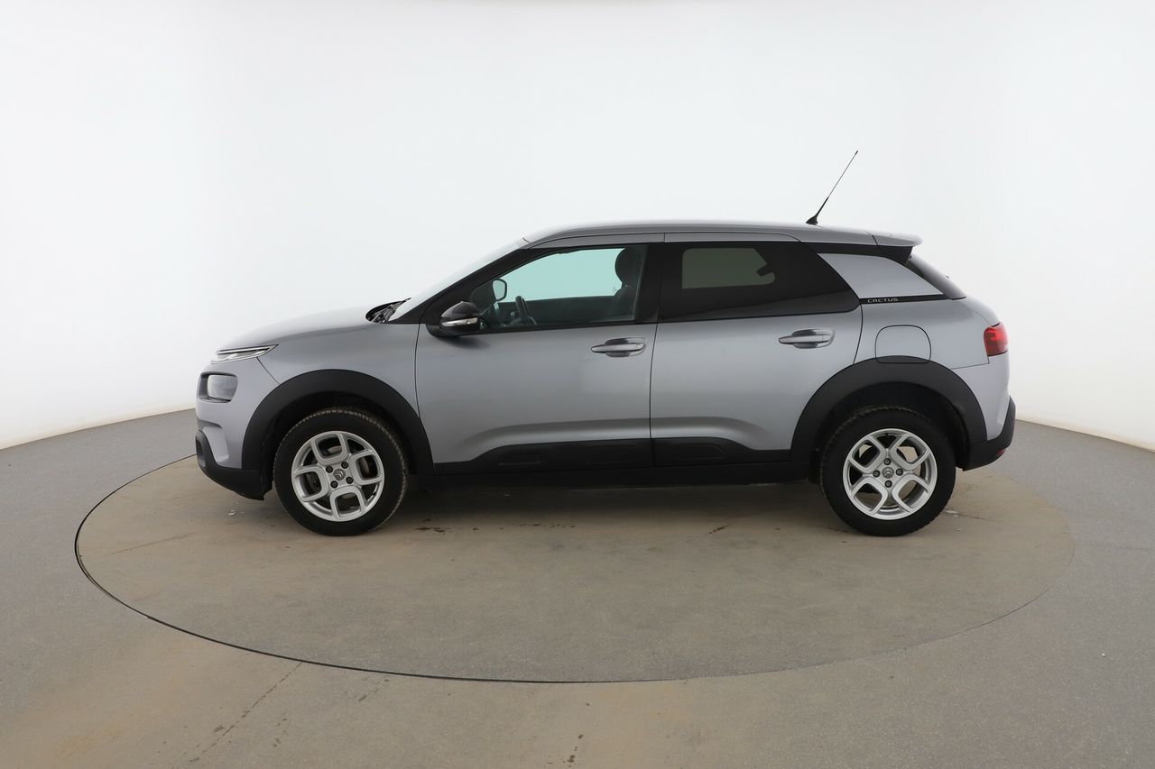 citroën c4 cactus 2019 / foto grande (3)