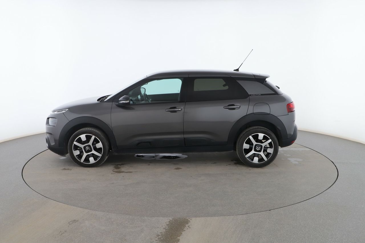 citroën c4 cactus 2019 / foto grande (3)