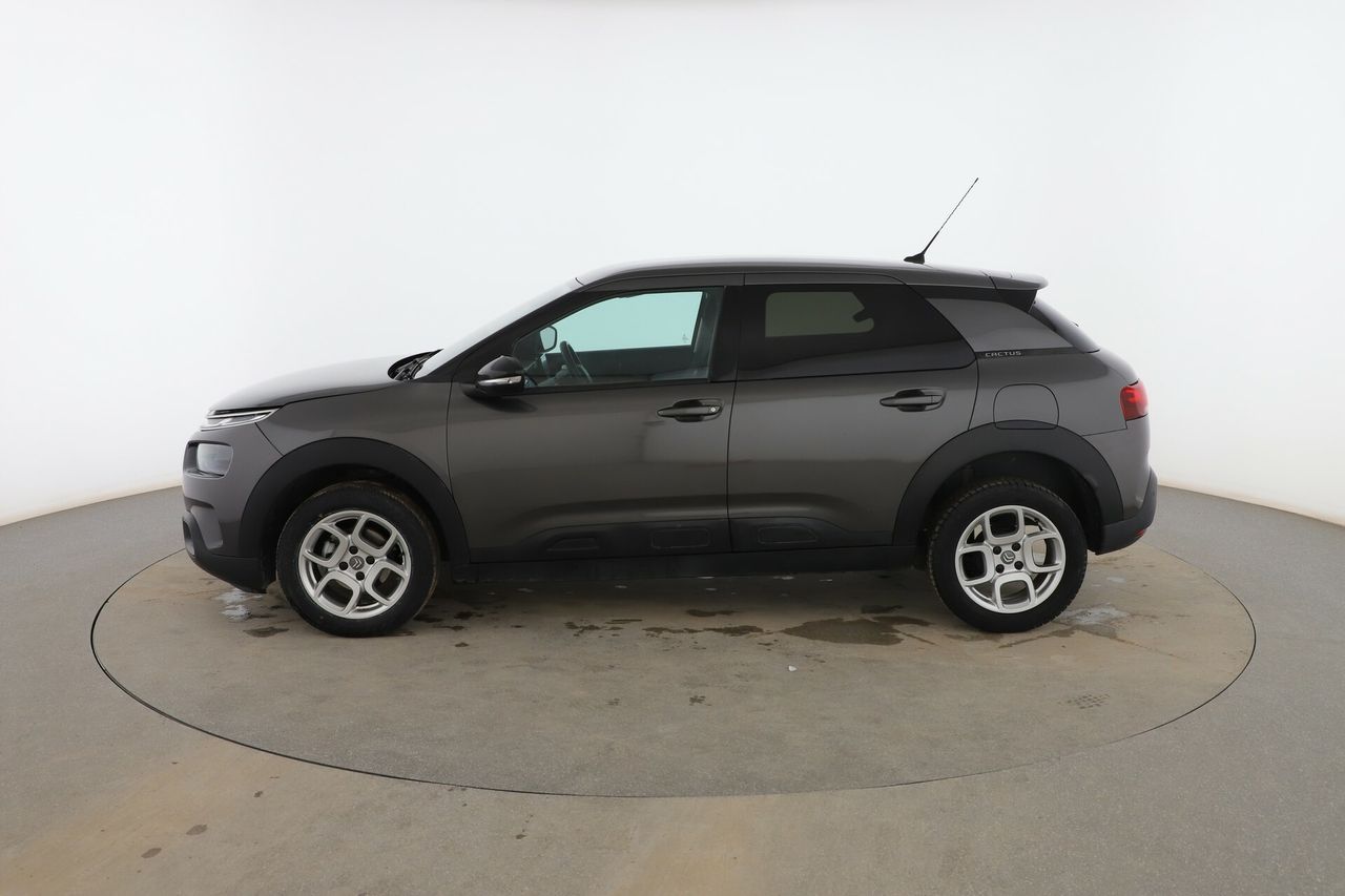 citroën c4 cactus 2019 / foto grande (3)