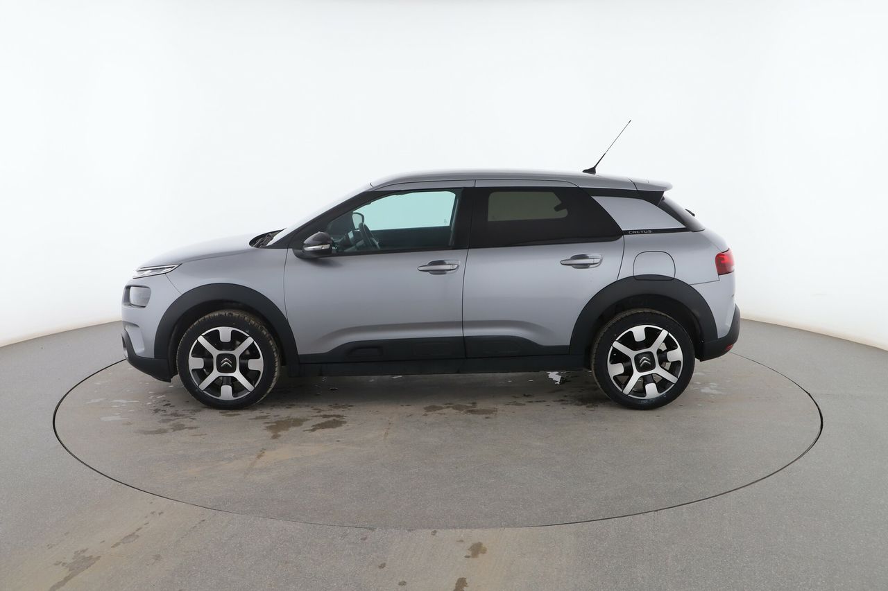 citroën c4 cactus 2019 / foto grande (3)