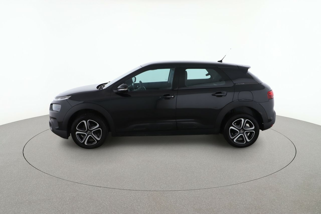 citroën c4 cactus 2021 / foto grande (3)