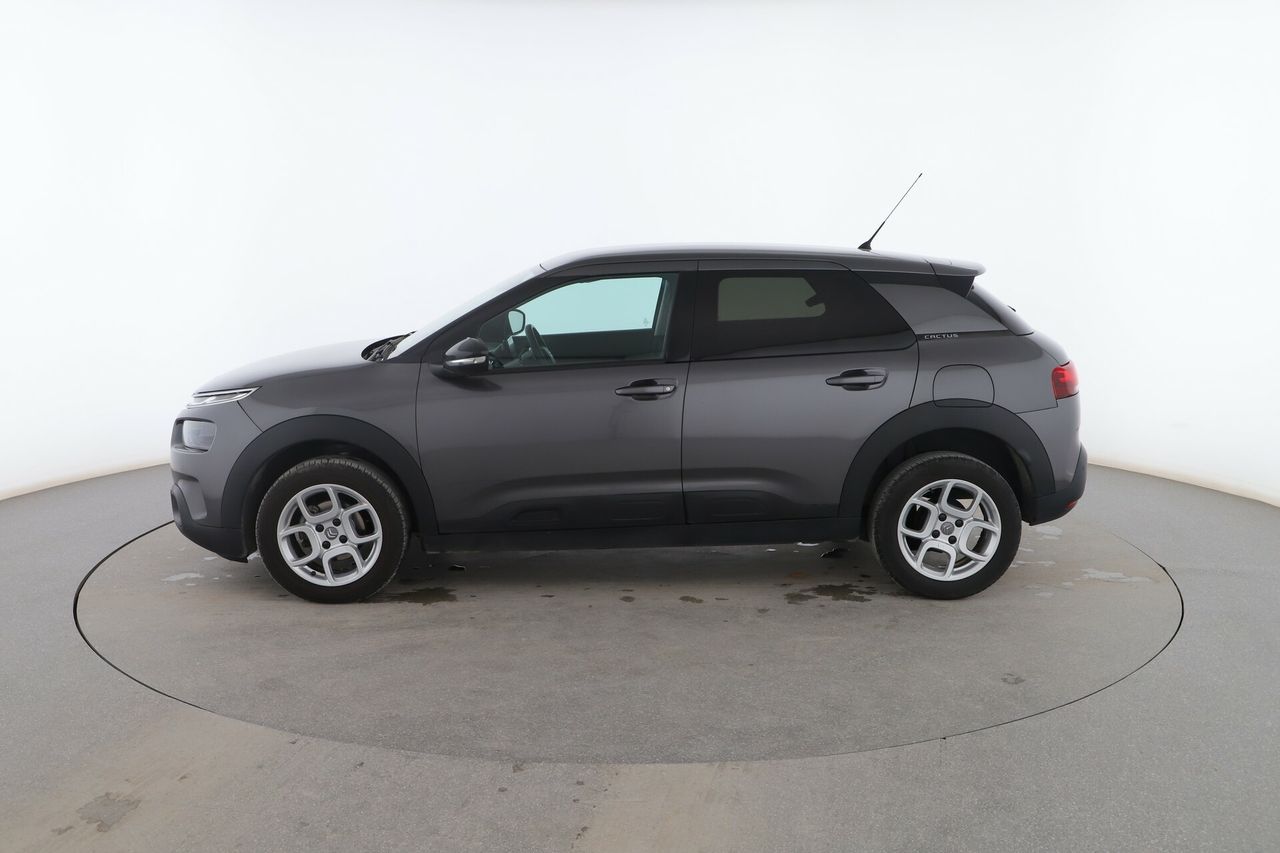 citroën c4 cactus 2019 / foto grande (3)