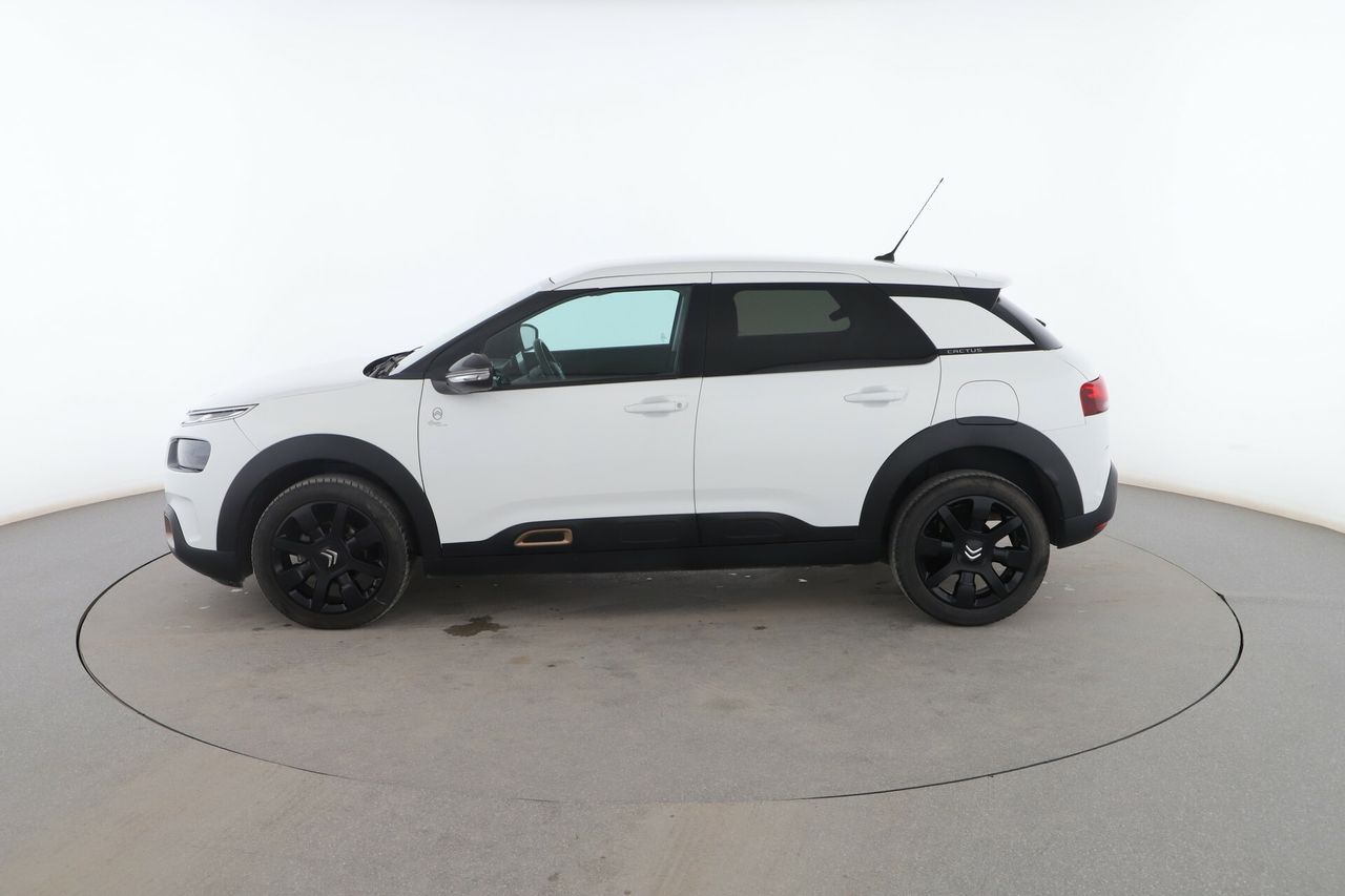 citroën c4 cactus 2019 / foto grande (3)