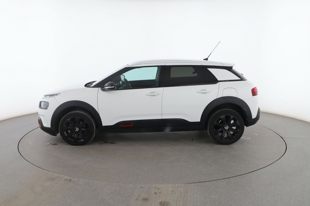 citroën c4 cactus 2019 / foto grande (3)