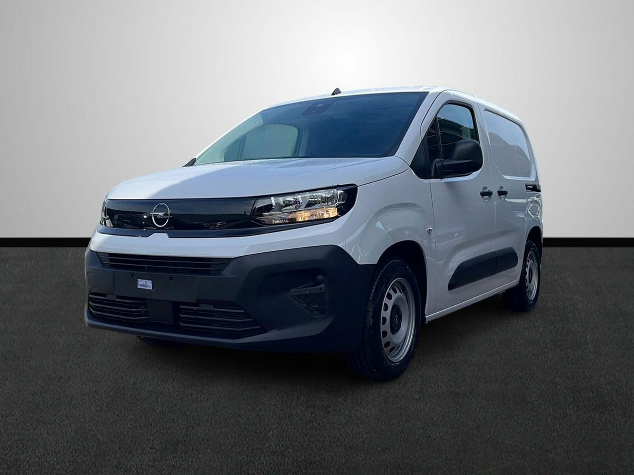 Foto opel combo cargo 2025 /