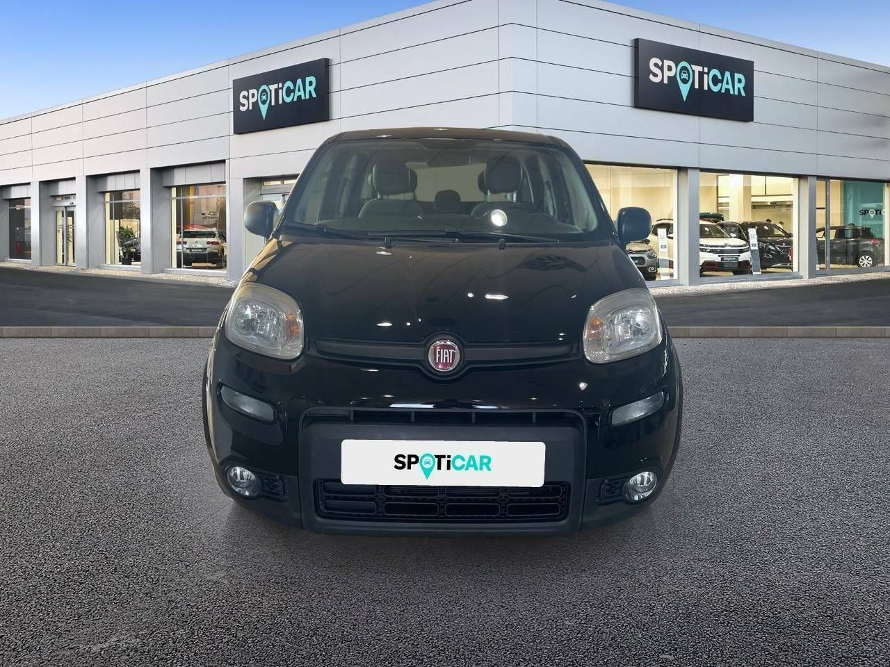 fiat panda 2021 / foto grande (2)