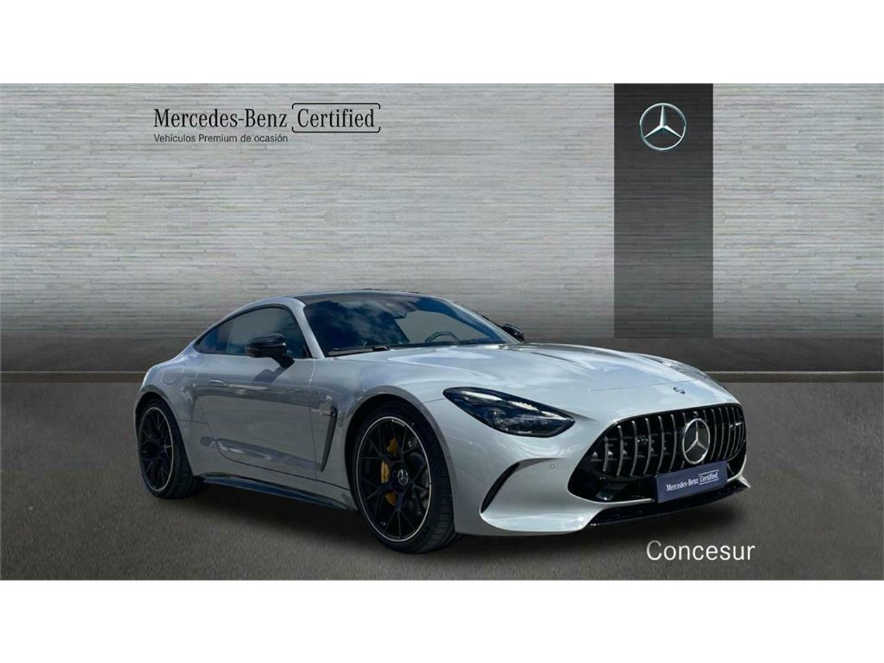 mercedes amg-gt  2025 / foto grande (3)