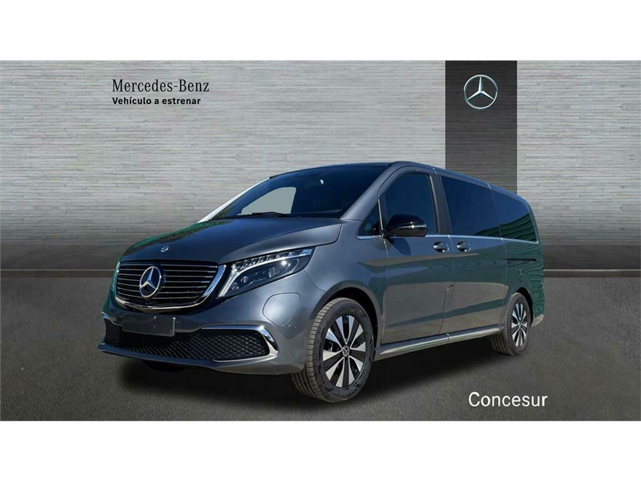 Foto mercedes eqv 2025 /
